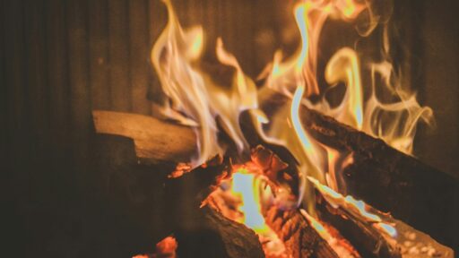 La mejor leña para chimeneas